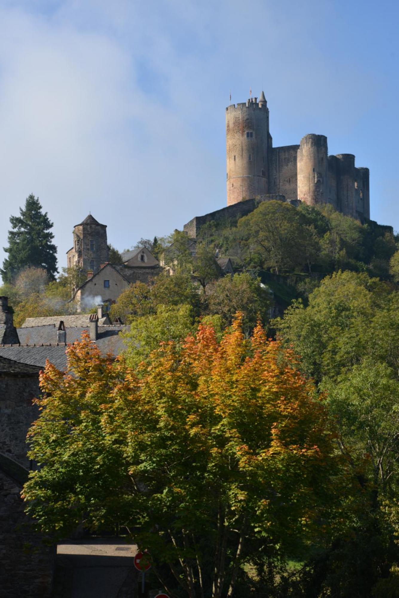 Gite La Baraque Najac Exterior photo